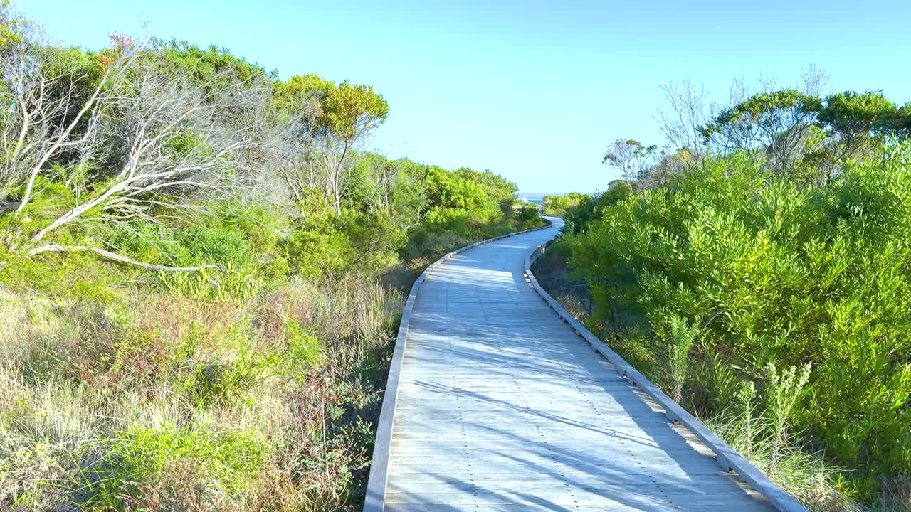 A wooden path winds through lush coastal plants under bright daylight, creating a tranquil natural scene