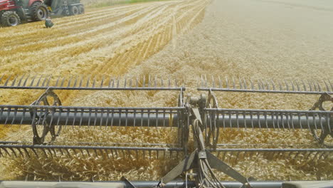 process of gathering ripe crop. combine harvester harvesting golden wheat field