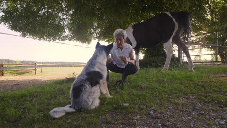 Erleben-Sie-Herzerwärmende-Momente,-Wenn-Eine-ältere-Frau-Snacks-Mit-Ihrem-Hund-Teilt,-Während-Ihr-Pferd-Im-Hintergrund-Steht