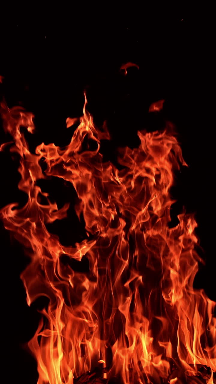 Orange blaze at night. Beautiful hypnotizing campfire burning in darkness. Vertical video