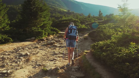 uma turista com uma mochila com bastões de trekking sobe o caminho da montanha nos raios do s