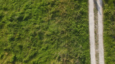 Aerial-View-Of-Group-Of-Three-Pilgrims-Walking-Together-On-Dirt-Road-On-A-Sunny-Day-4