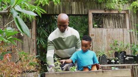 Happy-senior-african-american-man-with-his-grandson-looking-at-plants,-using-tablet-in-garden