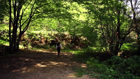 romanian girl walking in the forest 2