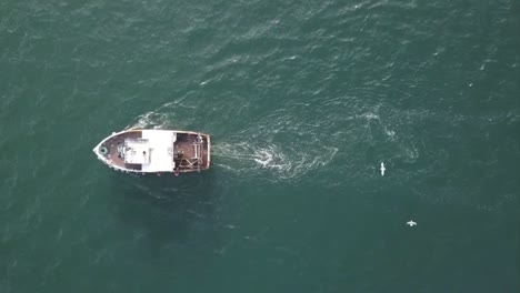 Ein-Schottischer-Fischtrawler,-Der-Von-Oben-Gesehen-Wird,-Während-Möwen-Um-Ihn-Herumfliegen