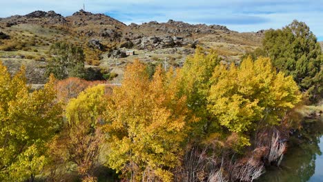 drone captures vibrant autumn foliage and rugged terrain in cromwell, new zealand. bright colors and serene atmosphere highlight natural beauty