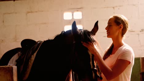 woman standing with the horse in the stable 4k