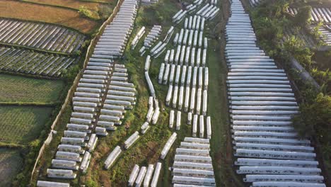 aerial view chili plantation with a protective cover in yogyakarta indonesia