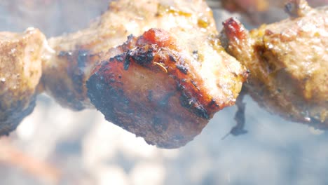 fresh tasty pork shahlik grilling on smoking wood bbq, close up