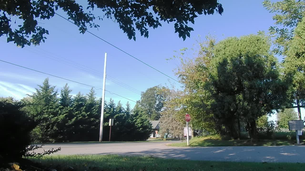 caballo amish y buggy bajando por la carretera