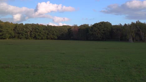 green meadows forests blue sky white clouds