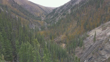 kluane national park and reserve, burwash creek and mountains