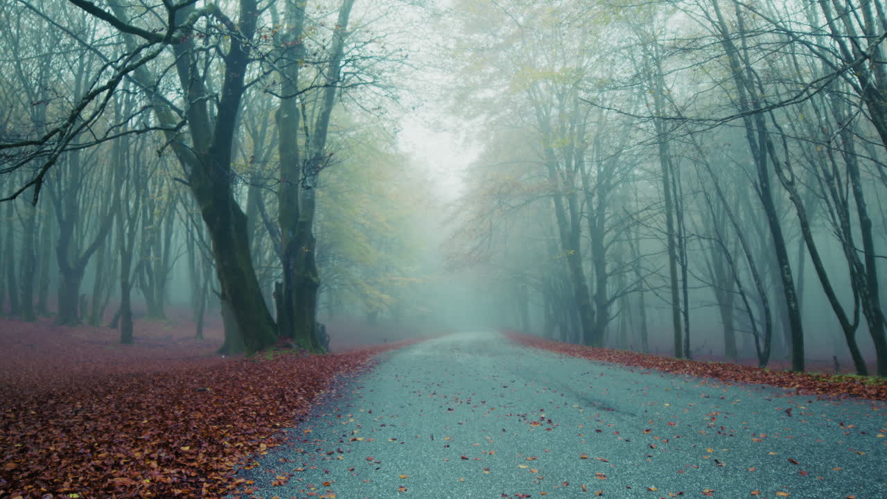 Mountain Road in Autumn Among the Mystery of Thick Fog Get Lost Towards Infinity