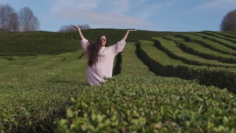 woman posing in a tea plantation