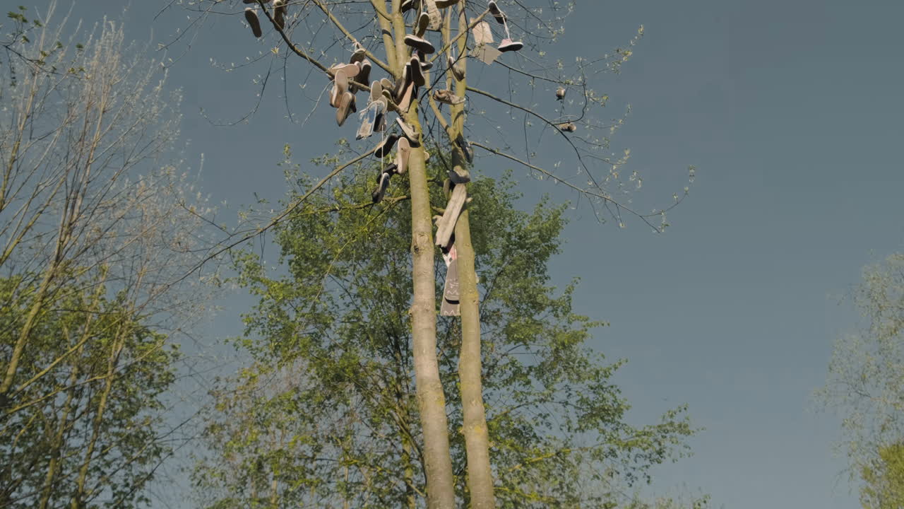 스케이팅 소녀는 카메라를 교차