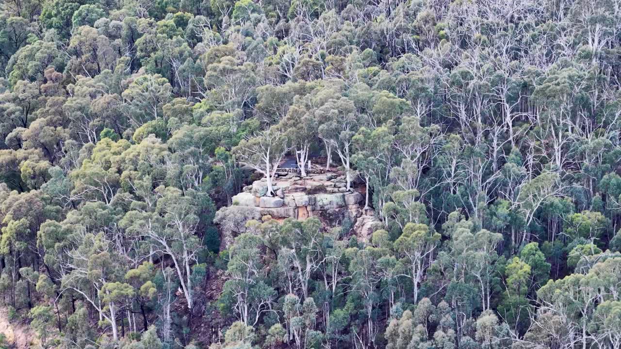 Drone camera glides above dense eucalyptus forest, revealing a rocky outcrop surrounded by lush greenery in soft, natural daylight near Coonabarabran, NSW