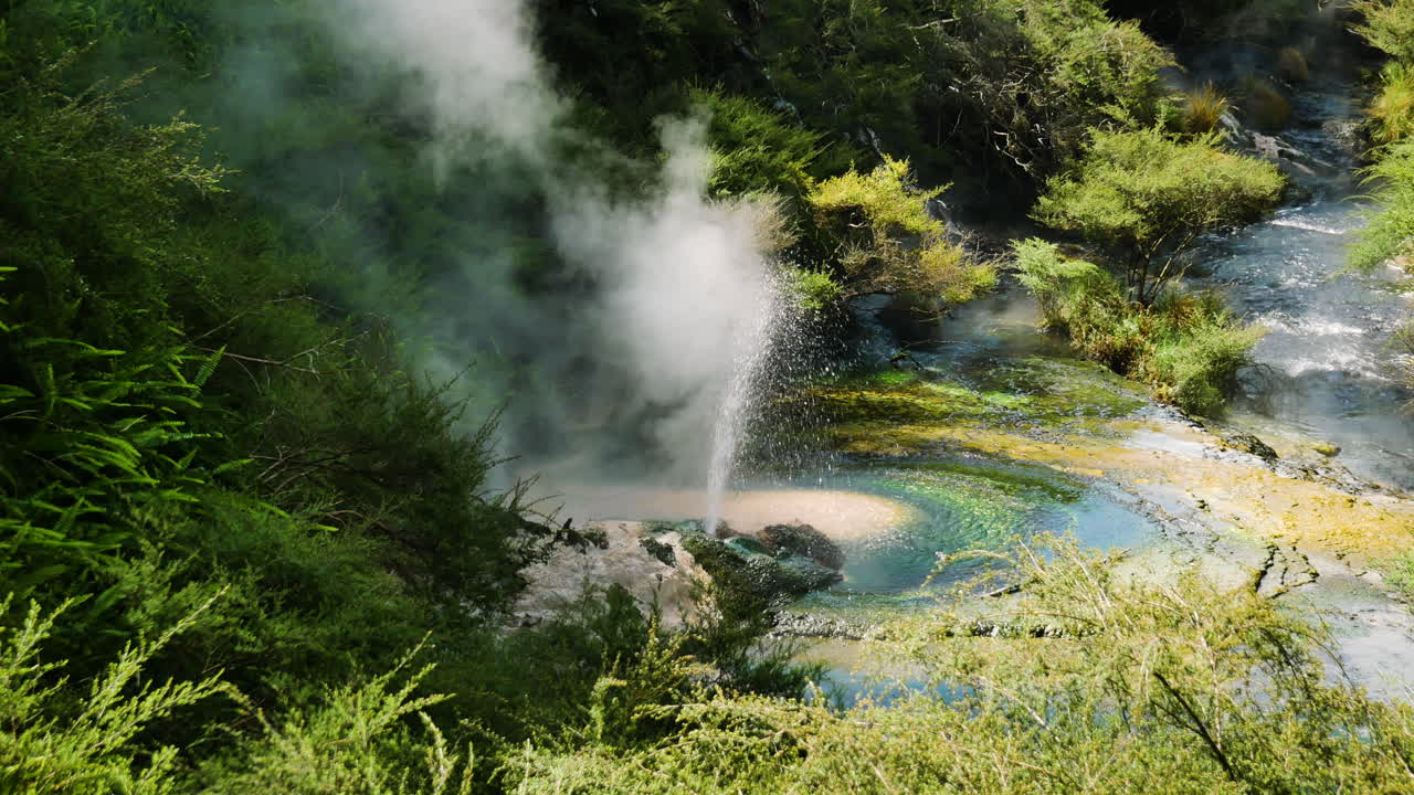 tiro medio de manantial hirviendo rociando agua caliente durante el día soleado - erupción volcánica de géiser en waimangu, nueva zelanda