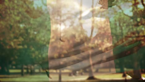 Digitale-Komposition-Von-Nigeria,-Das-Die-Flagge-über-Herbstblättern-Schwenkt,-Die-Gegen-Den-Park-Fallen