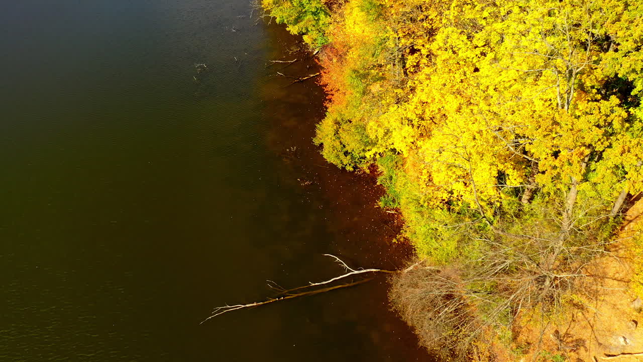 Beautiful autumn forest reflecting in dark waters of the river. Bright sunny day in the woods growing on waterfront. Aerial perspective.