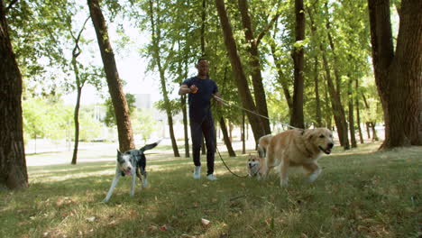 young man with pets at the park