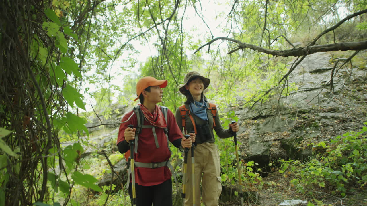 Asian Female Tourists Hiking in Mountain Woods