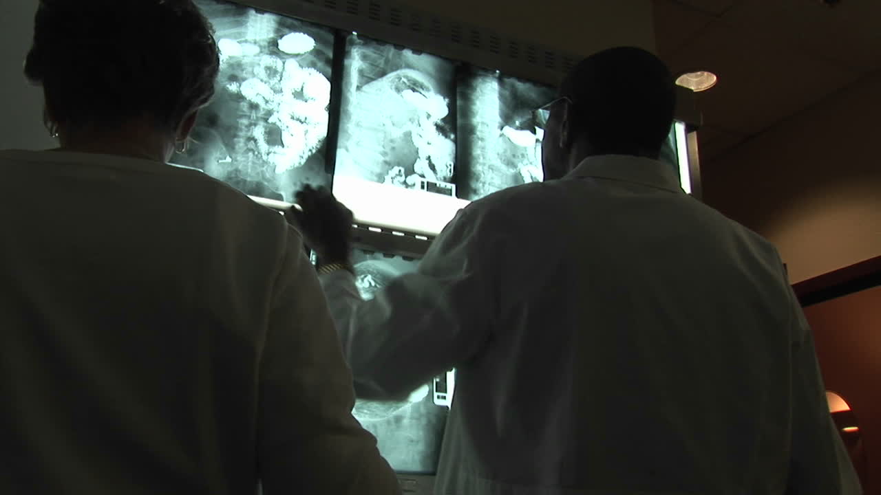 의료 전문가는 벽 라이트 박스에서 엑스레이를 평가합니다.