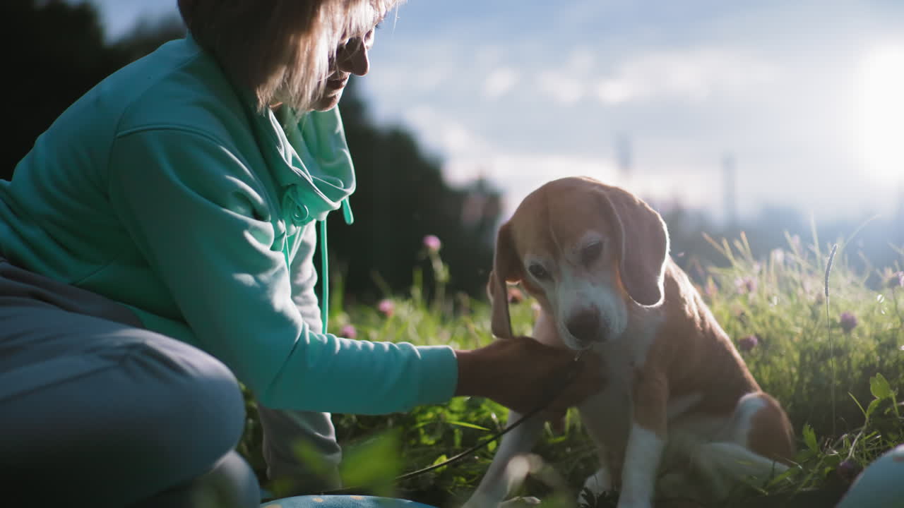 Elegant woman seated with beloved dog during sunset on lush green grass, gently petting and bonding with happy pet, surrounded by soft evening light and beautiful nature