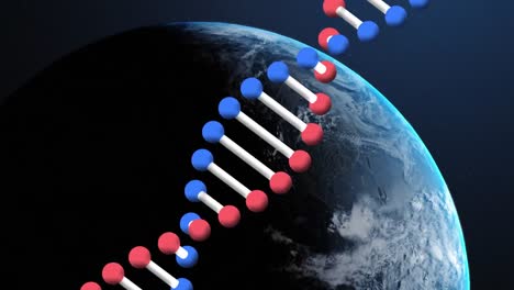 animación de una cadena de adn girando sobre el planeta tierra