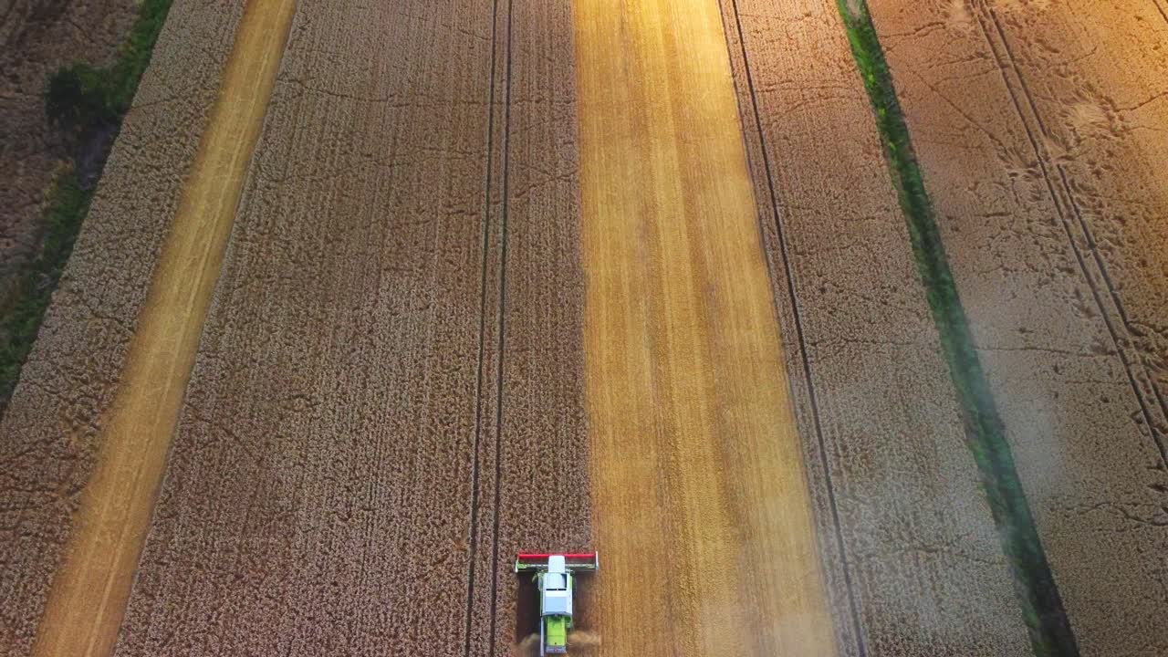 temporada de cosecha