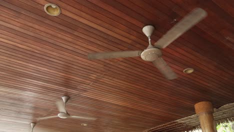 ceiling fans on a wooden ceiling