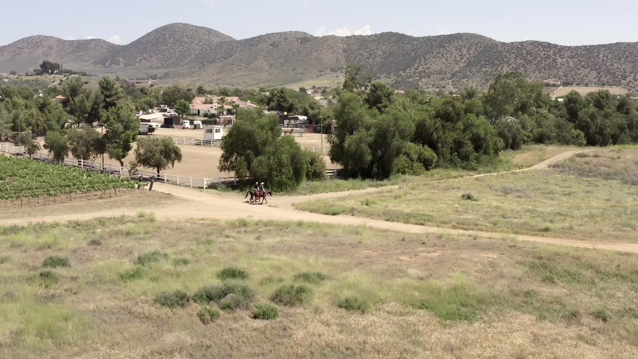 Aerial view, circling around two cowboys riding their horse in vineyard, mountain in background