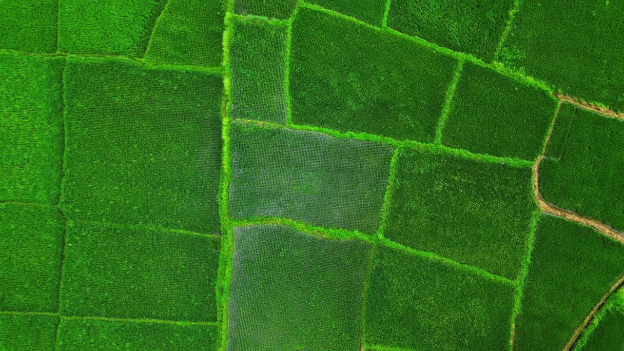 Aerial top view shot of lush grassland in Lual, Infanta Quezon Province as drifting clouds cast moving shadows across the landscape, creating a dynamic play of light and texture