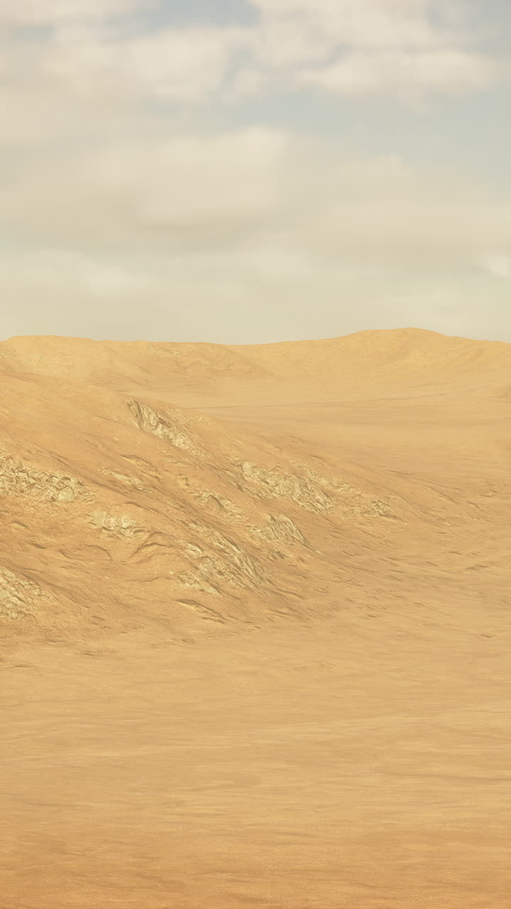 광활한 사막 풍경