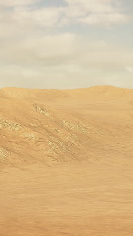 vast desert landscape