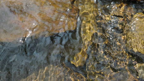 río que fluye sobre piedras