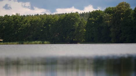 lake water glittering on a hot summer day, natural clear water with a forest background