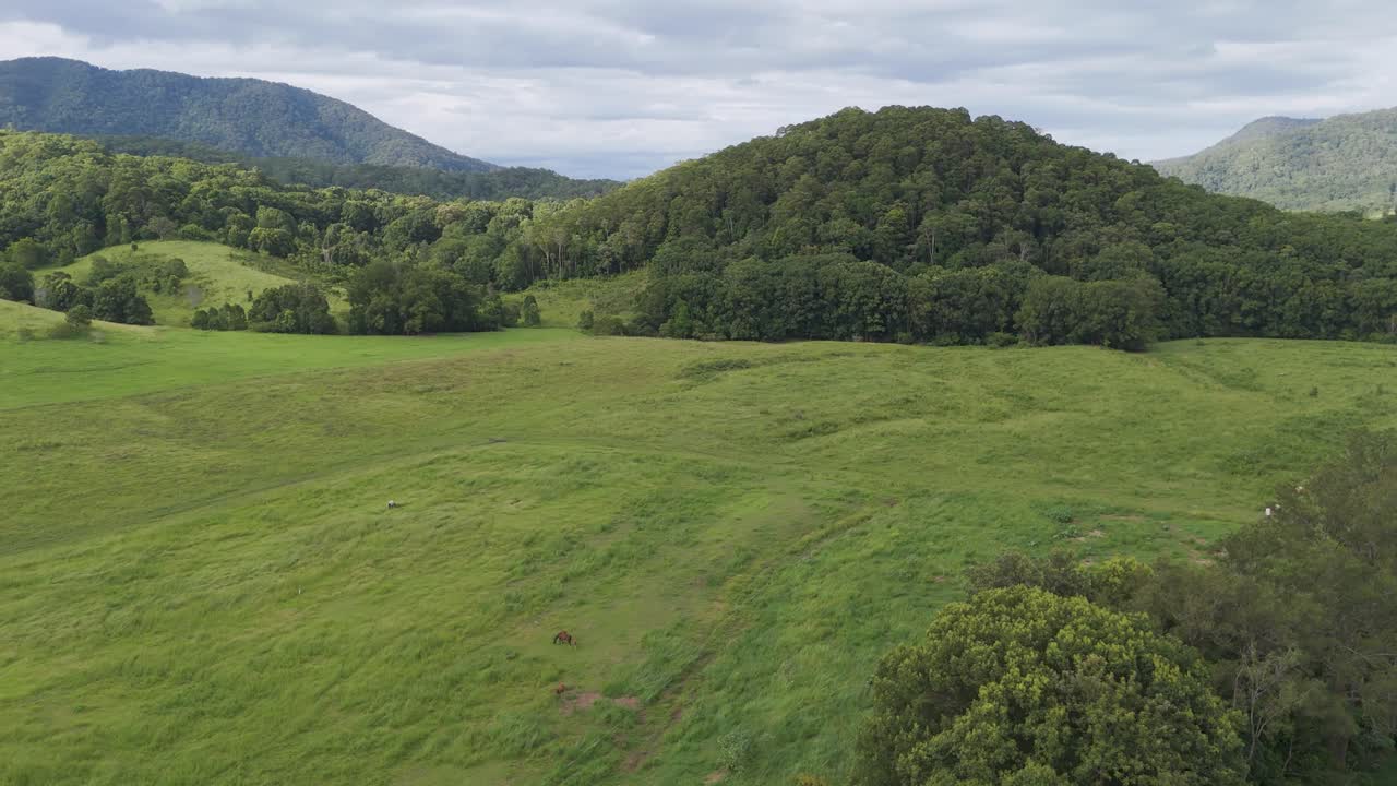 vista aérea de un campo exuberante y granjas