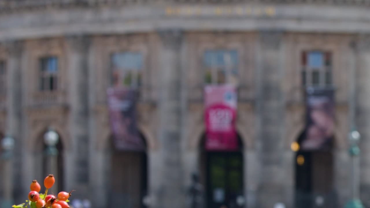 Rose hips and flying insects in sharp focus, Bode Museum blurred, bright daylight, static camera
