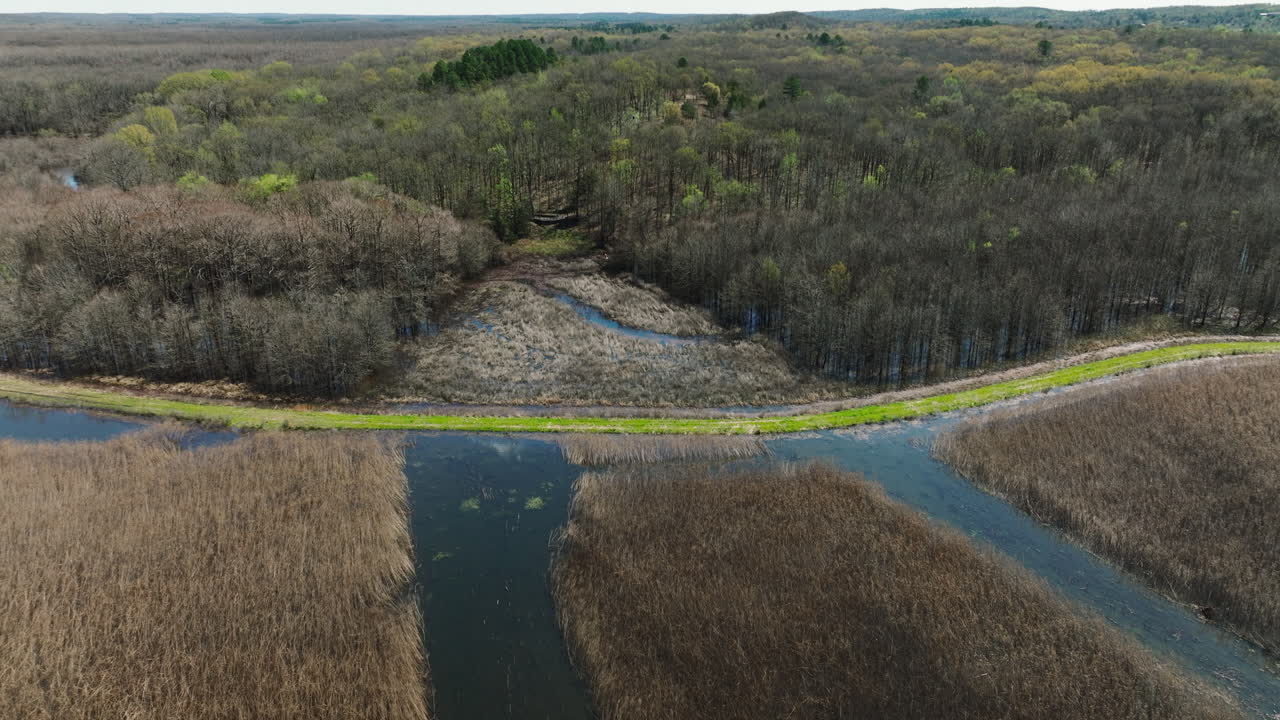 arroyos de praderas y bosques en el área de manejo de vida silvestre del estado de bell slough, arkansas, estados unidos
