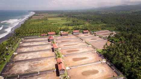 Bosque-Tropical-Destruido-Para-El-Cultivo-De-Camarones-En-Bali,-Indonesia