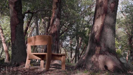 Lonely-Wooden-Bench-in-the-Forest---4K