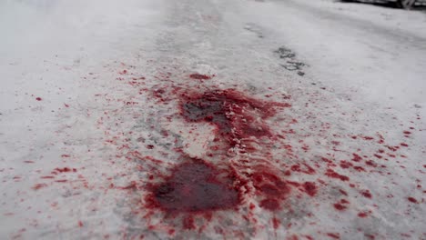 dark red blood on snowy road, cars from accident in background