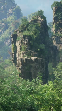 tall rock formations in a lush forest