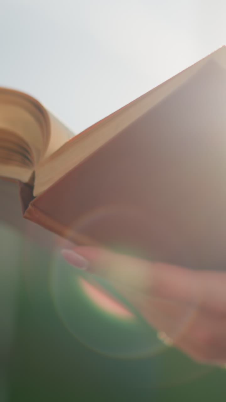 mujer sentada al aire libre sosteniendo un libro, hojeando páginas mientras la luz del sol crea un ambiente brillante a su alrededor, el fondo está suavemente borroso