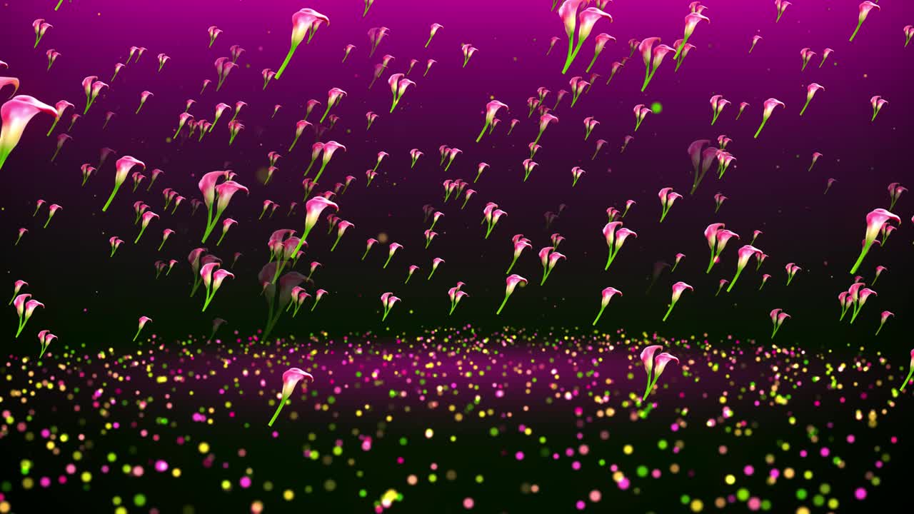 추상적인 달한 회전 모션 뷰 은 분홍색 칼라 릴리 꽃과 반이는 반이는 먼지 반이는 빛나는 반이는 바닥 배경