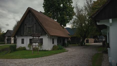 traditional village with thatched roof houses and cobblestone street