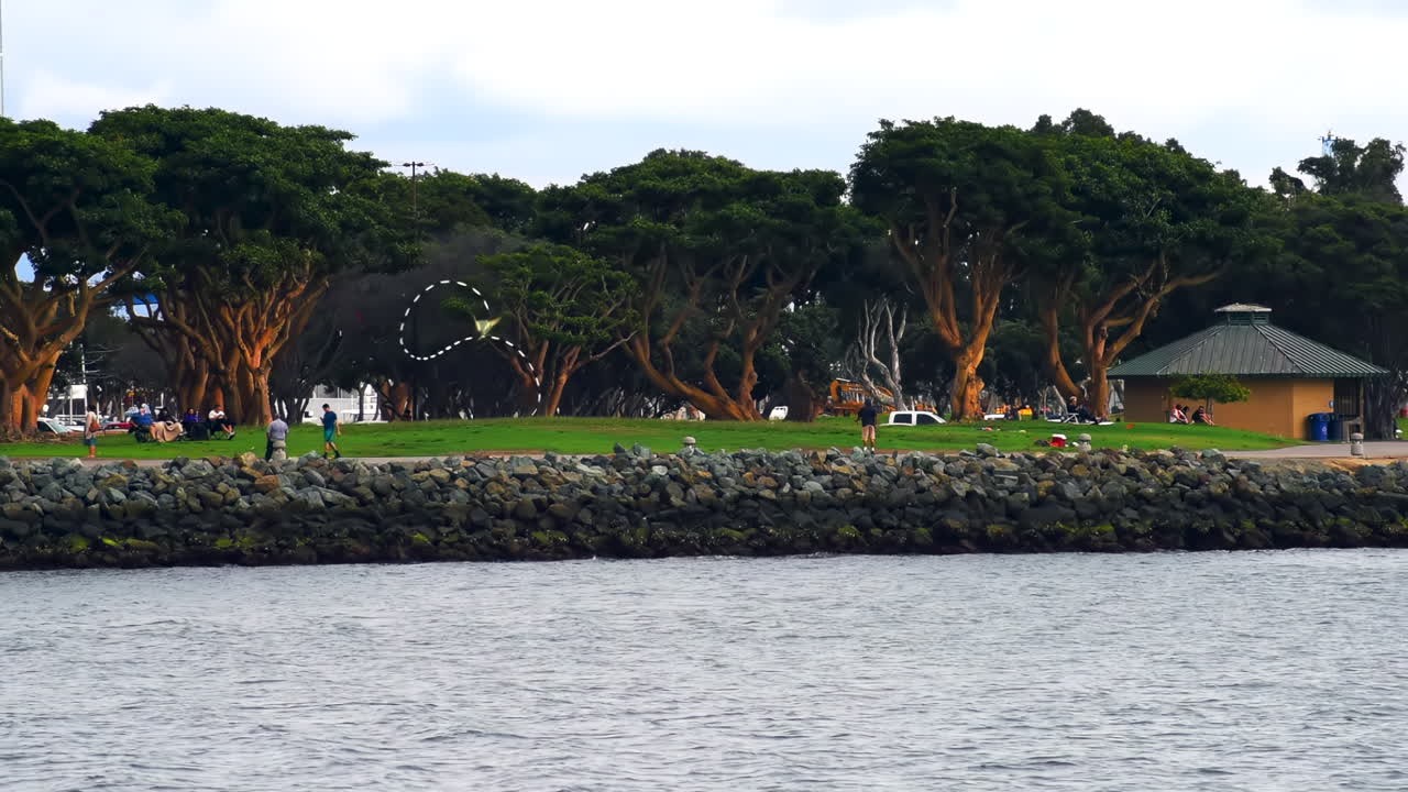 Scenic view of people flying kites and relaxing in Waterfront Park surrounded by green trees and oceanfront