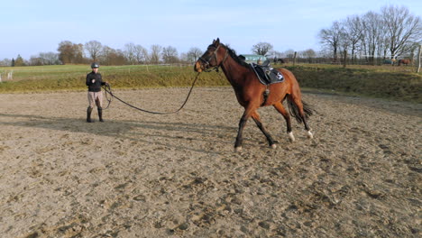 jonge vrouw lunges een paard op een zonnige dag in slow motion