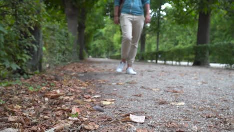 Torso-Masculino-Caminando-Hacia-La-Cámara-En-El-Parque-De-Otoño-Fuera-De-Foco