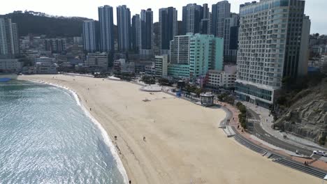 drone aerial view in south korea busan flying over the yellow sand beach with big buildings on the side with people walking on the beach on a sunny day